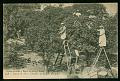Cartes postales anciennes 12692